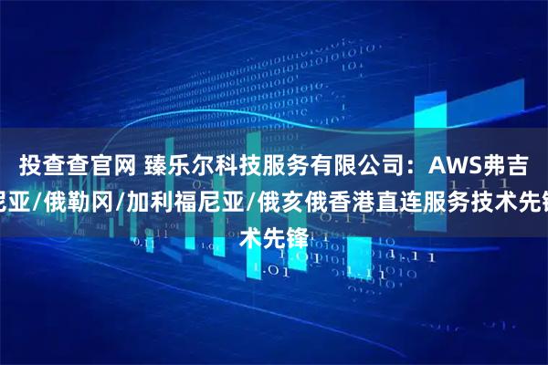 投查查官网 臻乐尔科技服务有限公司:AWS弗吉尼亚/俄勒冈/加利福尼亚/俄亥俄香港直连服务技术先锋